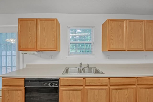 7459 Old Chapel, South Fulton, GA 30349 - kitchen with dishwasher, a sink, light countertops, and light brown cabinetry