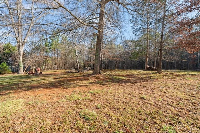 view of yard featuring a forest view