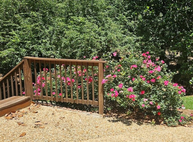 12 Rosalyn Rd, Georgetown, GA 39854 - view of wooden deck