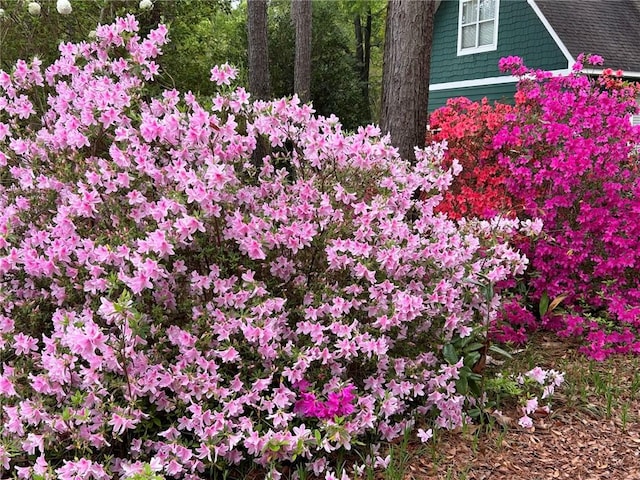12 Rosalyn Rd, Georgetown, GA 39854 - exterior view