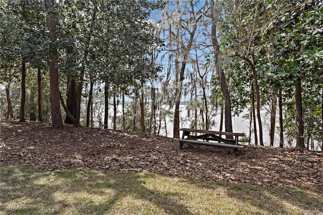 12 Rosalyn Rd, Georgetown, GA 39854 - view of undeveloped land