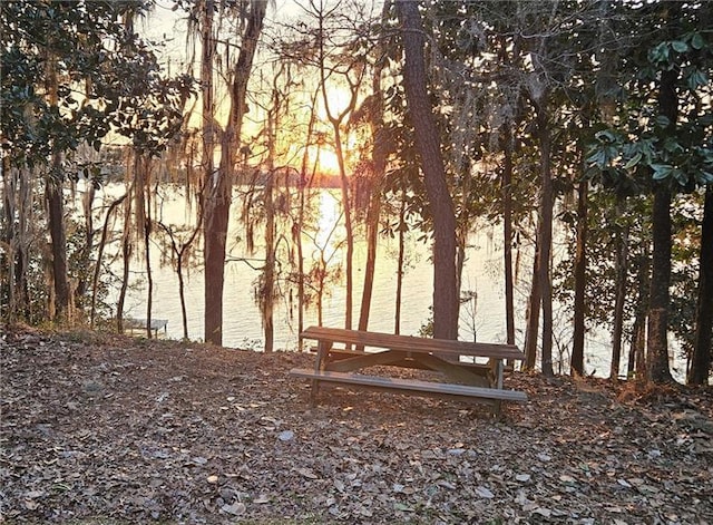12 Rosalyn Rd, Georgetown, GA 39854 - view of property's community