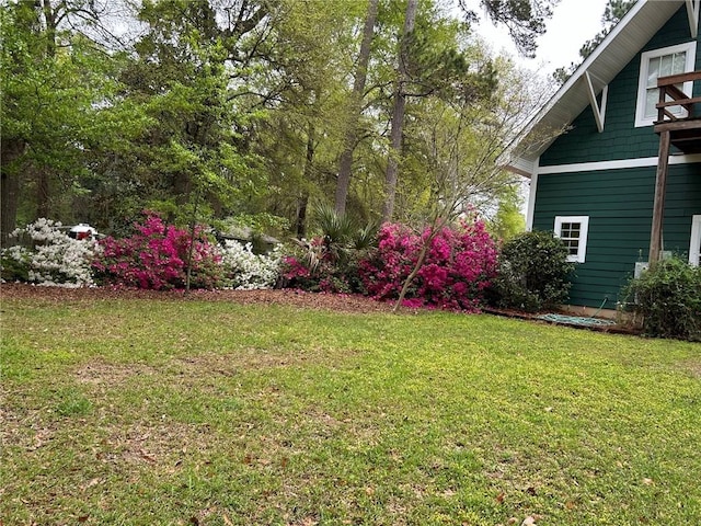 12 Rosalyn Rd, Georgetown, GA 39854 - view of green lawn