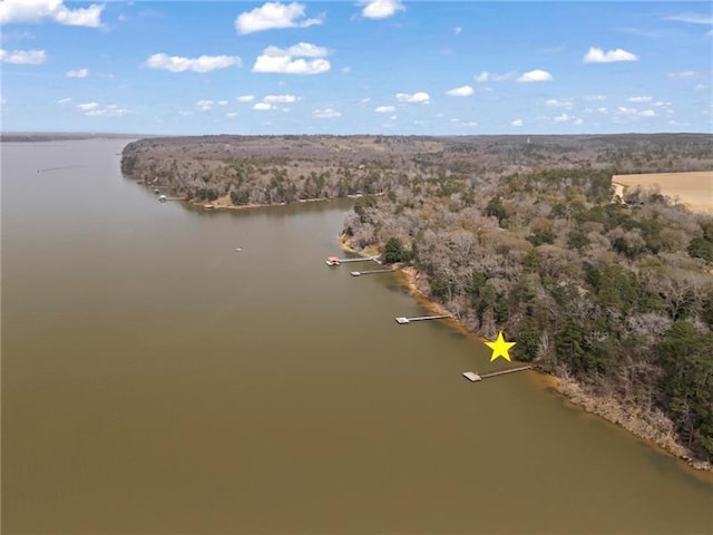 12 Rosalyn Rd, Georgetown, GA 39854 - drone / aerial view of a large body of water