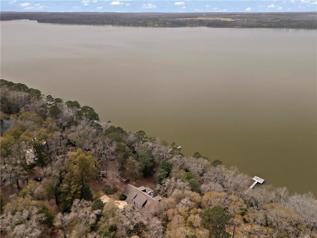 12 Rosalyn Rd, Georgetown, GA 39854 - aerial view of property's location featuring a nearby body of water