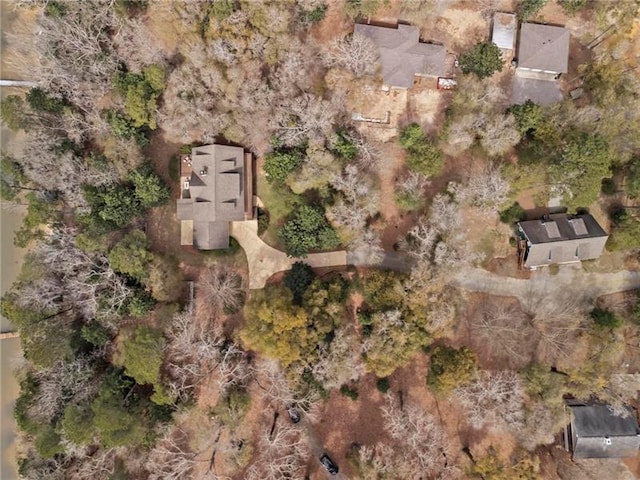 12 Rosalyn Rd, Georgetown, GA 39854 - aerial view of property's location