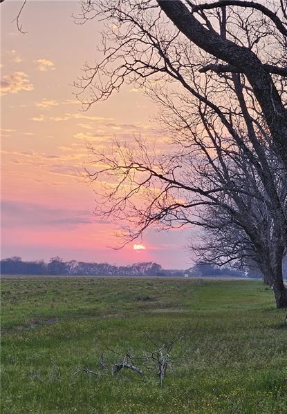 12 Rosalyn Rd, Georgetown, GA 39854 - view of mountain backdrop featuring rural landscape