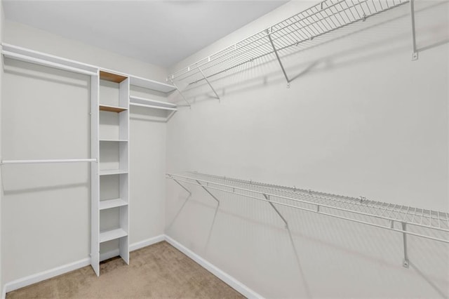 335 Pintail Ct, Suwanee, GA 30024 - spacious closet with carpet flooring