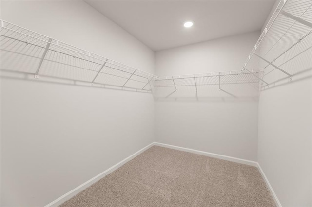 7127 Brushwood Bnd, Lithonia, GA 30058 - walk in closet with carpet