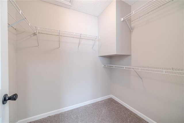 206 Belmont Dr, Monroe, GA 30655 - walk in closet featuring carpet