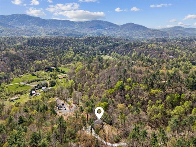 78 Pocola Ct, Ellijay, GA 30536 - birds eye view of property with a view of trees and a mountain view