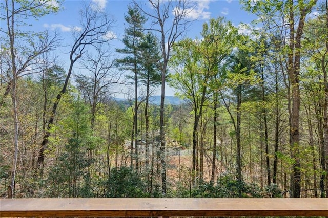 78 Pocola Ct, Ellijay, GA 30536 - property view of mountains with a wooded view