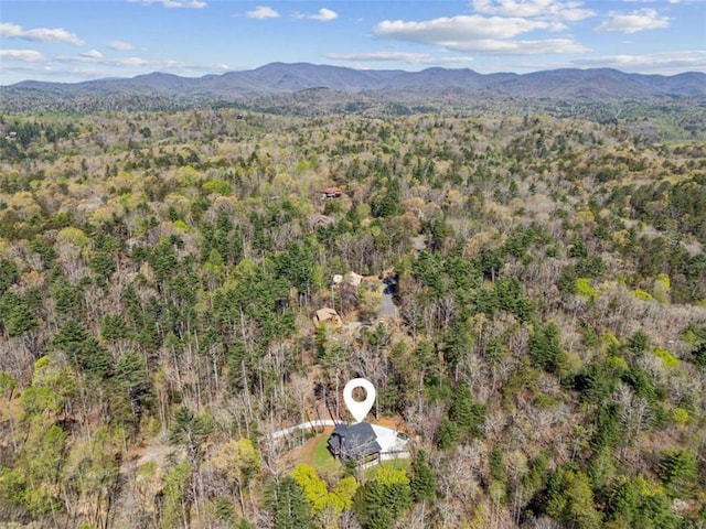 78 Pocola Ct, Ellijay, GA 30536 - drone / aerial view featuring a view of trees and a mountain view