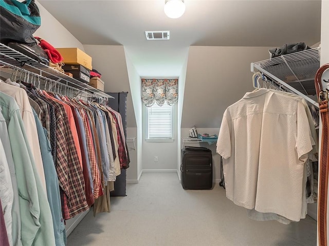 3580 Treeline Pass NE, Roswell, GA 30075 - spacious closet with carpet floors
