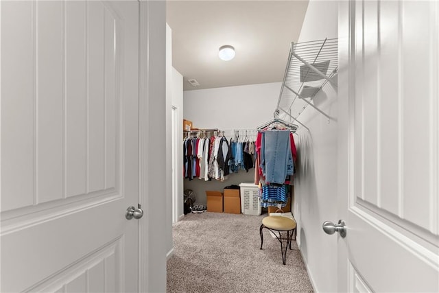 walk in closet with carpet flooring