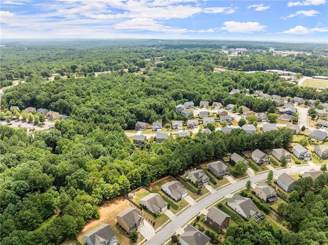 bird's eye view