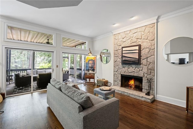 3648 Sope Creek Farm SE, Marietta, GA 30067 - living room with crown molding, a stone fireplace, and wood finished floors