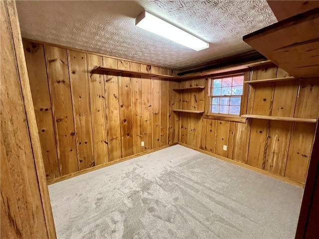 bonus room featuring wooden walls, a textured ceiling, and carpet flooring