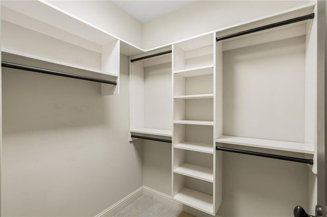 view of spacious closet