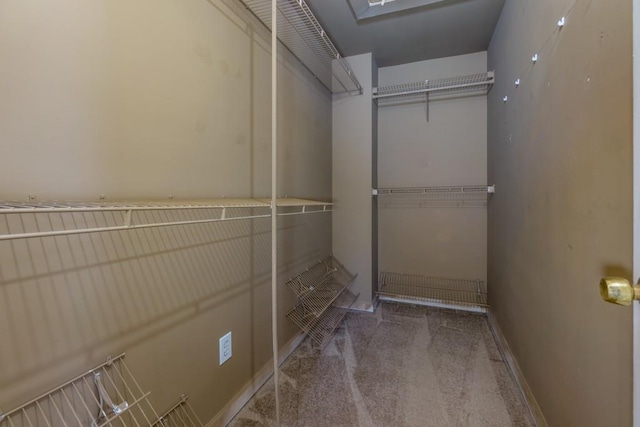 spacious closet with carpet flooring