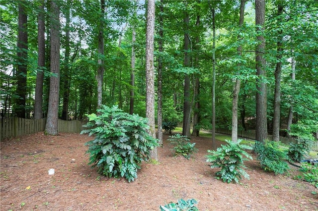 12160 Oak Hollow Way, Alpharetta, GA 30005 - view of yard
