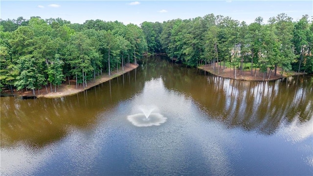 12160 Oak Hollow Way, Alpharetta, GA 30005 - water view