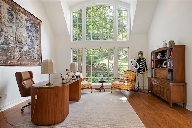 12160 Oak Hollow Way, Alpharetta, GA 30005 - office with wood finished floors, healthy amount of natural light, and high vaulted ceiling