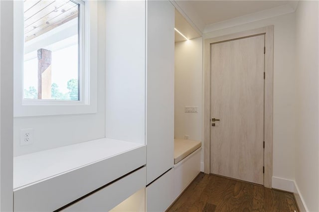 interior space with dark hardwood / wood-style flooring