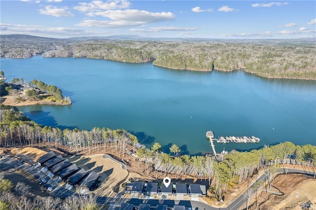 drone / aerial view featuring a forest view and a water view