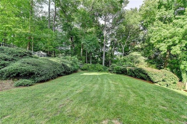 view of yard