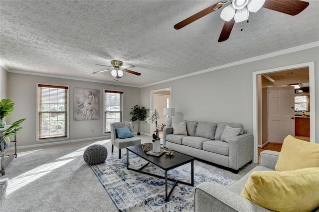 carpeted living area featuring a ceiling fan, baseboards, ornamental molding, and a textured ceiling