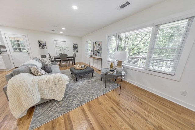 living room featuring wood-type flooring