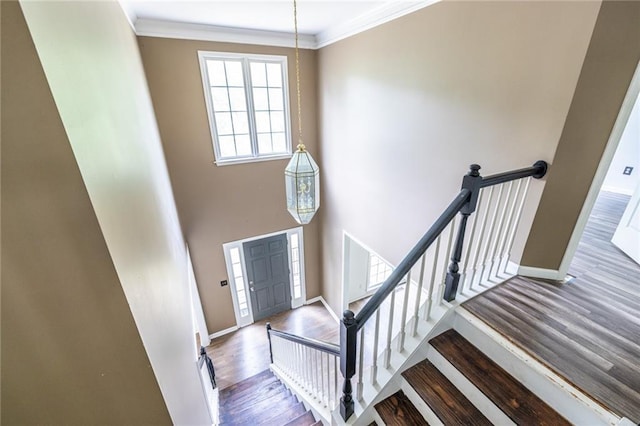 entrance foyer featuring wood finished floors, baseboards, ornamental molding, and a towering ceiling