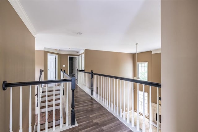 hallway featuring ornamental molding, dark wood-style flooring, and an upstairs landing