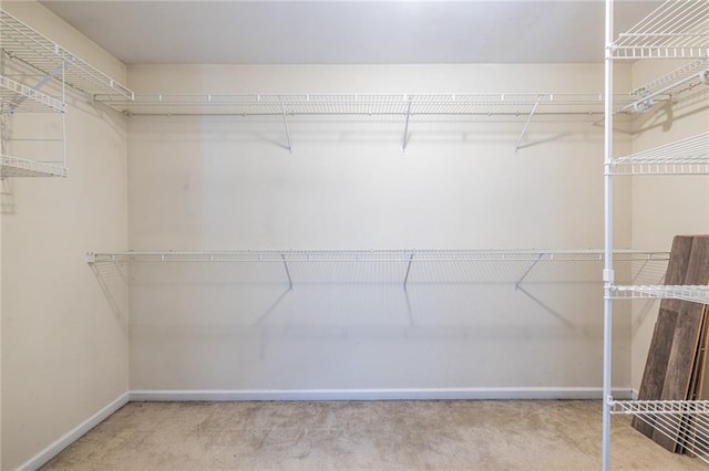 spacious closet with carpet flooring