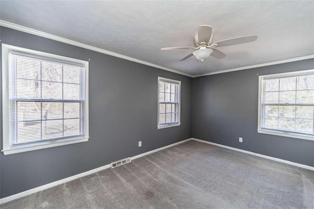 spare room with ceiling fan, carpet floors, and ornamental molding