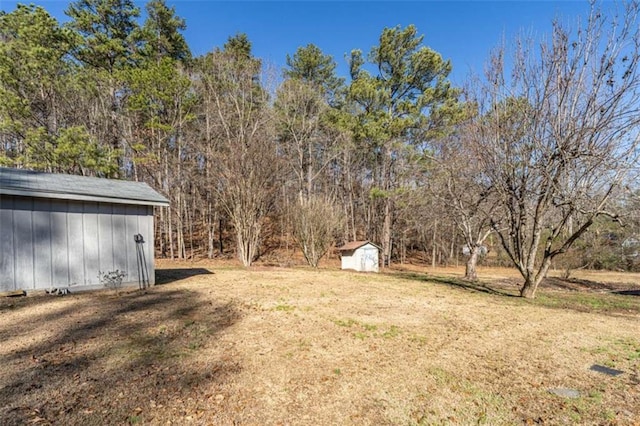 view of yard with a storage unit