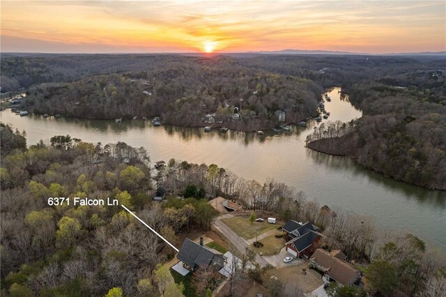 6371 Falcon Ln, Gainesville, GA 30506 - view of sport court with a forest view and a lawn