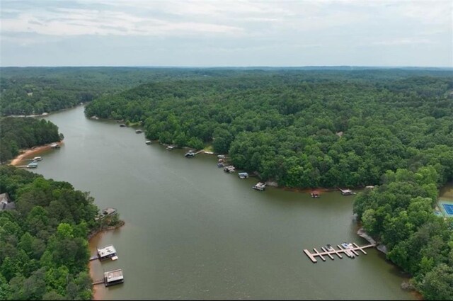 6371 Falcon Ln, Gainesville, GA 30506 - view of dock with a water view