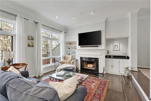 living room with crown molding, dark hardwood / wood-style floors, sink, and a high end fireplace