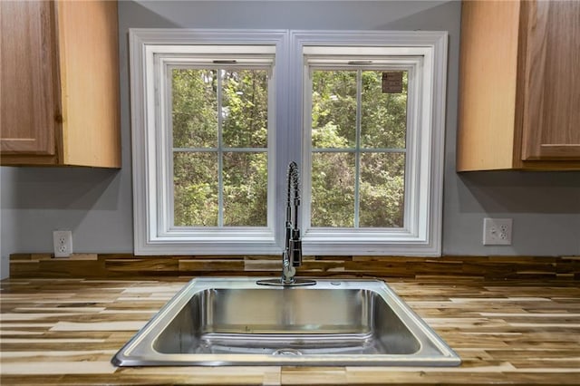details featuring wood counters and a sink