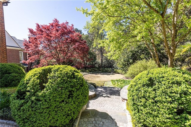 view of yard featuring a patio