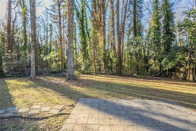 view of yard featuring a patio