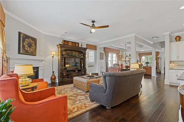 340 Marietta Walk Ln, Marietta, GA 30064 - living room featuring dark wood finished floors, a glass covered fireplace, ornamental molding, and ceiling fan with notable chandelier