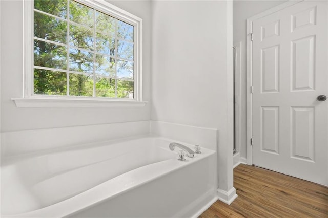 3454 Carriage Chase Rd, Atlanta, GA 30349 - bathroom featuring plenty of natural light, a garden tub, wood finished floors, and a shower stall