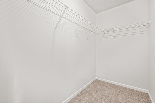 3454 Carriage Chase Rd, Atlanta, GA 30349 - walk in closet featuring carpet
