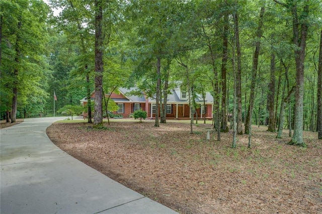view of front of home with driveway and a view of trees