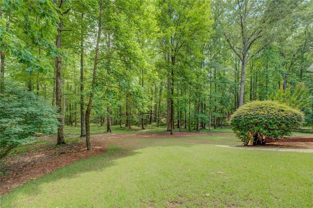 view of grassy yard featuring a wooded view