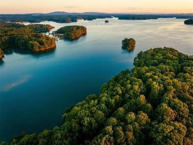 aerial view at dusk with a water view