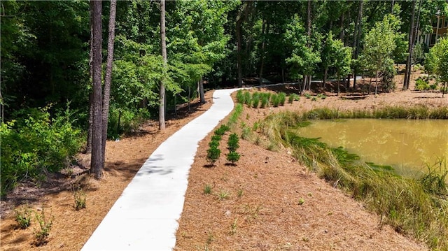 362 Olmstead Way Unit 23, Alpharetta, GA 30022 - view of community with a water view